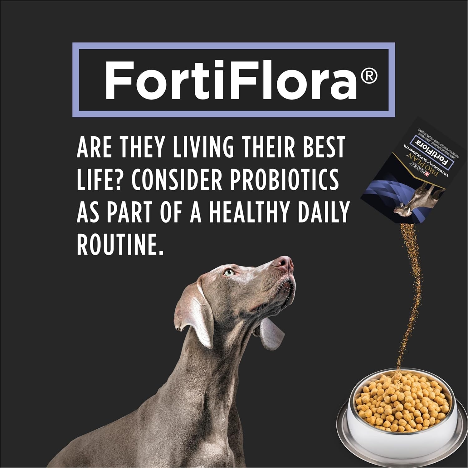 Purina Pro Plan Veterinary Supplements Fortiflora Powdered Dog Probiotics - 30 G Sachets (Pack of 30)