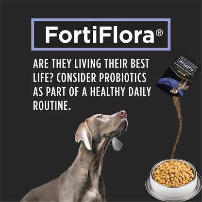 Purina Pro Plan Veterinary Supplements Fortiflora Powdered Dog Probiotics - 30 G Sachets (Pack of 30)